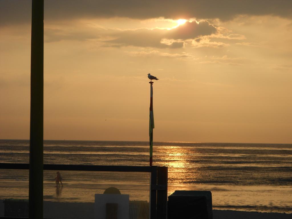 Pension Sissi Zandvoort Dış mekan fotoğraf